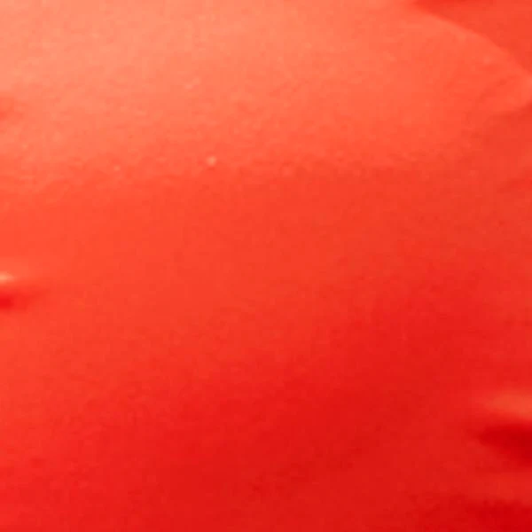 'Agent Jinx' Ruched Bikini Top - Tabria Majors X FTF - Image 6