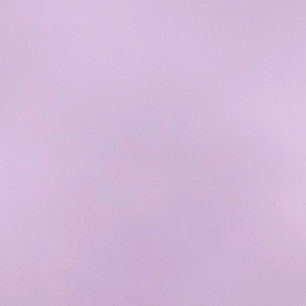 'Agent Violet' One-Piece Swimsuit - Tabria Majors X FTF - Image 8