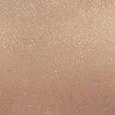 Anita Champagne Turtleneck Top - Image 5
