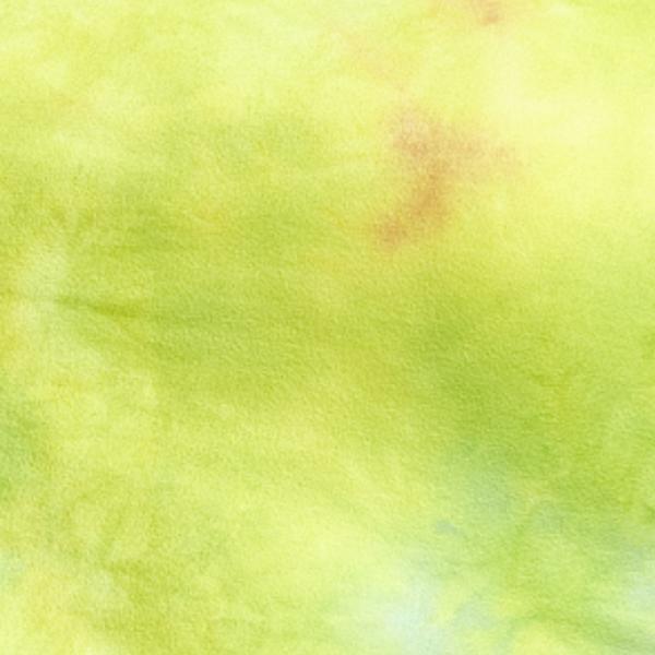 Diedre Tie Dye Crop Tank - Image 6