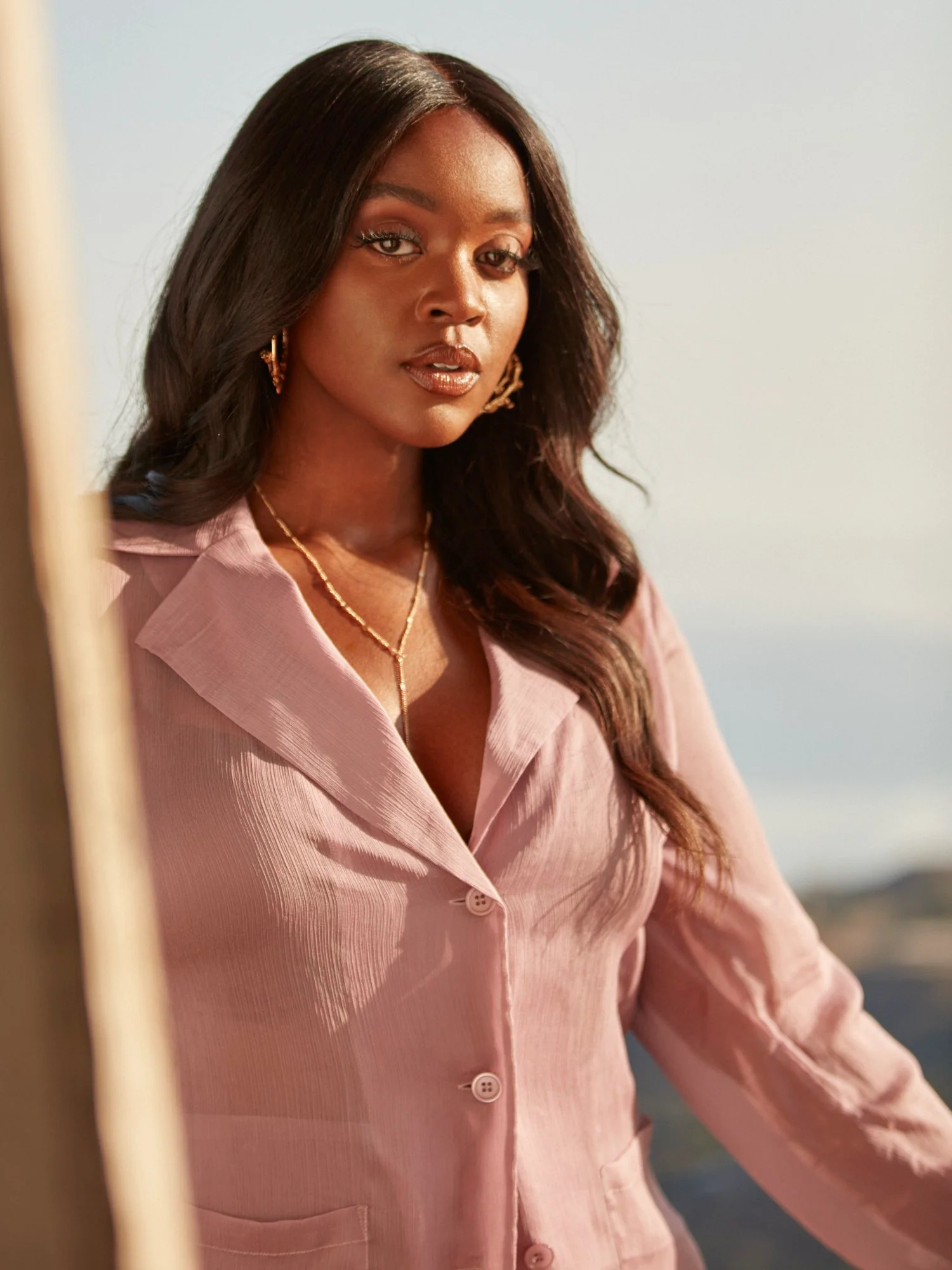 Lisette Sheer Button-Down Shirt - Image 6