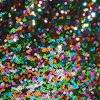 Lysha Sequin Romper - Image 5