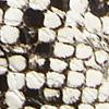 Philomena Snakeskin Open Back Sandals - Image 6