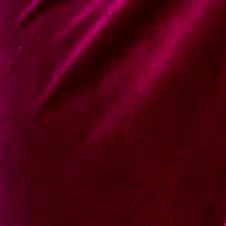 Rachelle Draped Velvet Top - Image 4