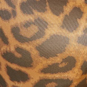 Renee Leopard Mesh Top - Image 6