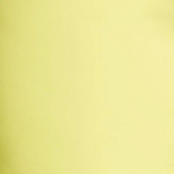 Samentha Two-Button Blazer - Image 7