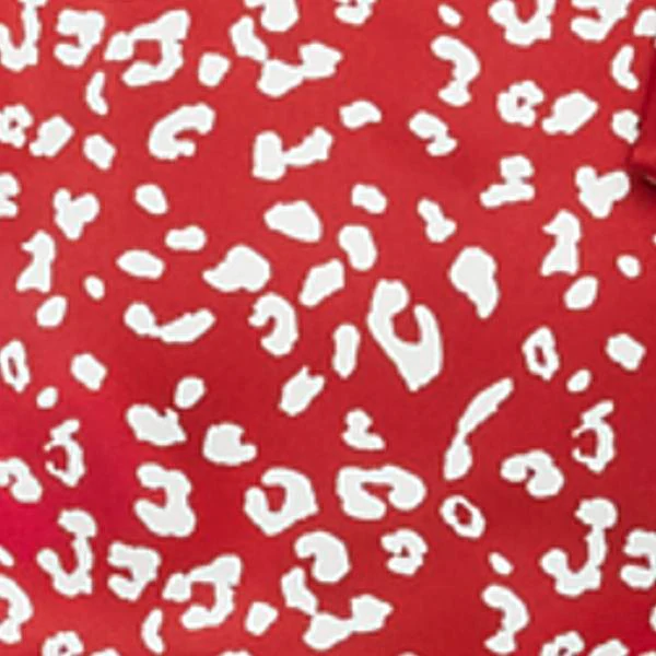 Shawna Leopard Print Mini Dress - Image 5