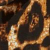 Shawnee Leopard Harem Skirt - Image 6