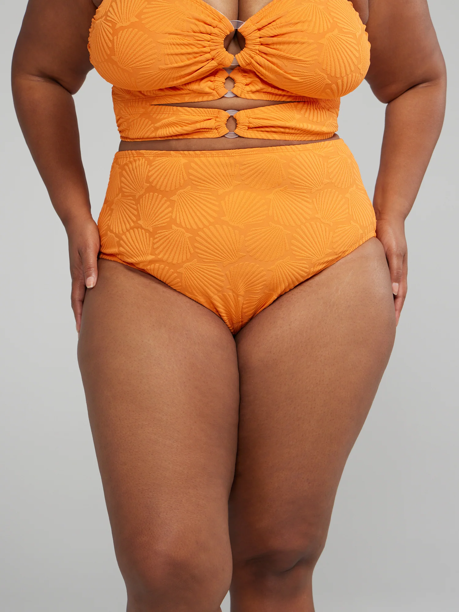 Textured Seashell Pattern Bikini Bottom