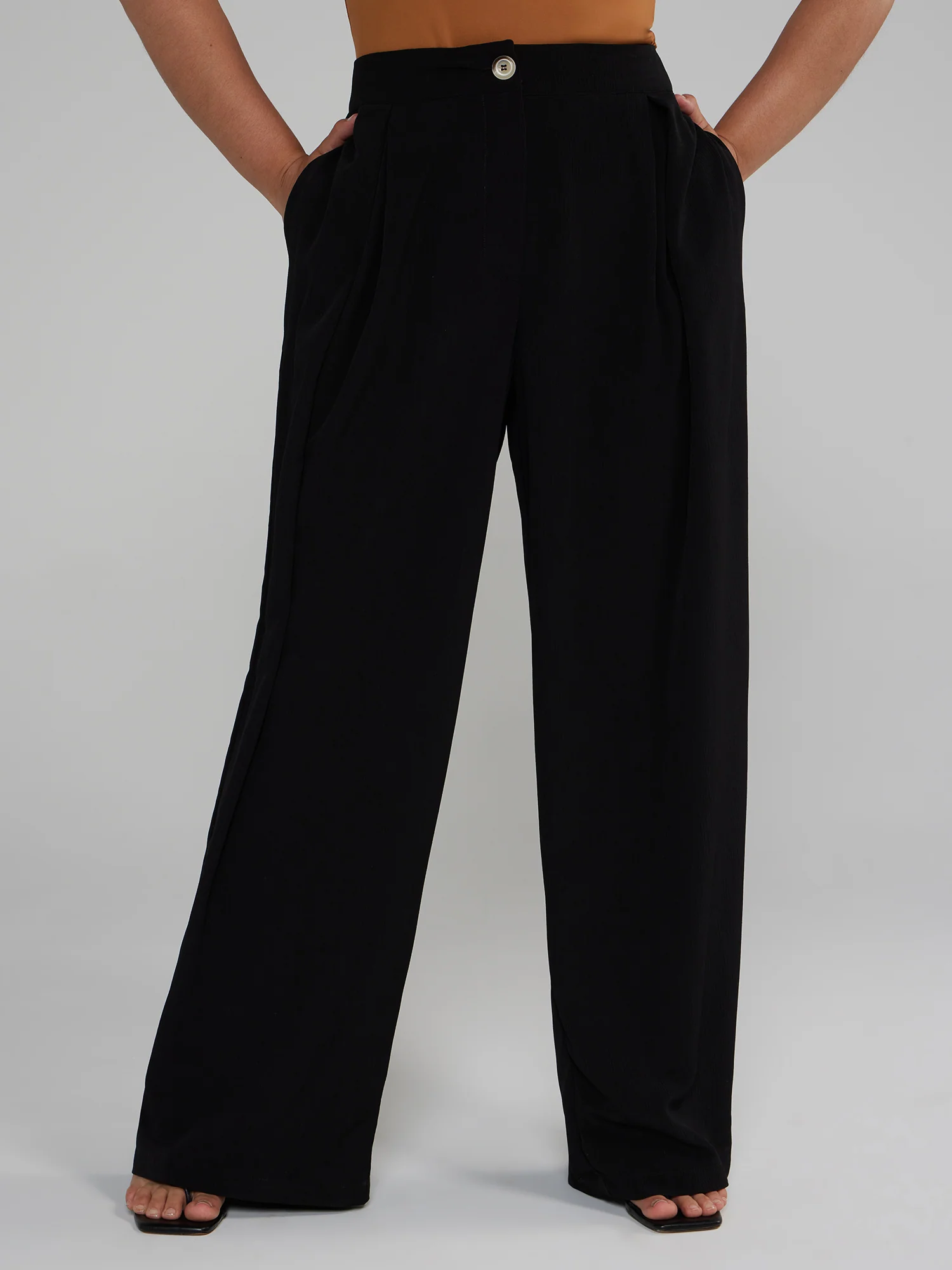 Wide Leg Pleated Pants
